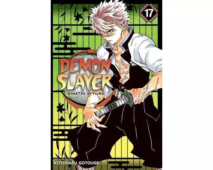 Demon Slayer: Kimetsu no Yaiba, Vol. 17