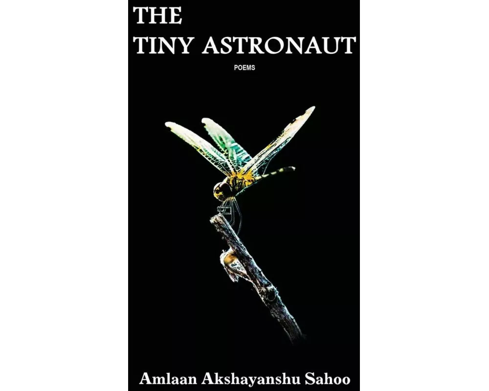 The Tiny Astronaut