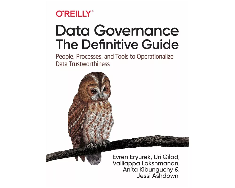 Data Governance: The Definitive Guide