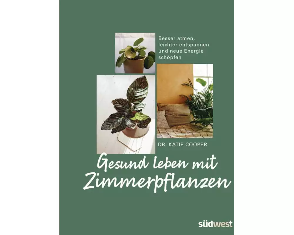 Gesund leben mit Zimmerpflanzen