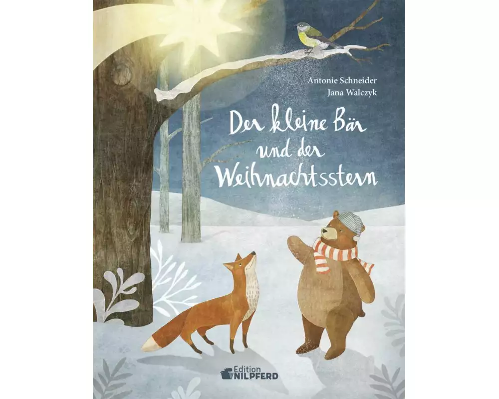 MIDI - Der kleine Bär und der Weihnachtsstern