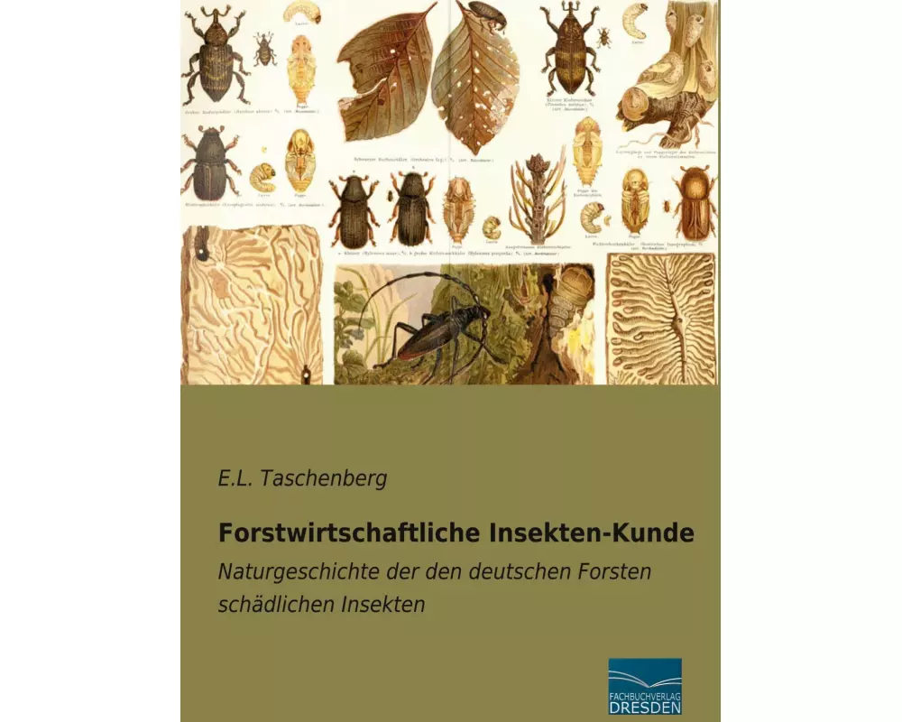Forstwirtschaftliche Insekten-Kunde