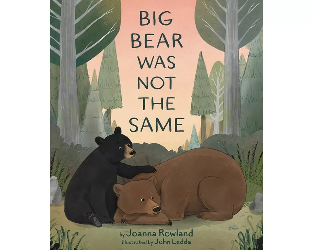 Big Bear Was Not the Same