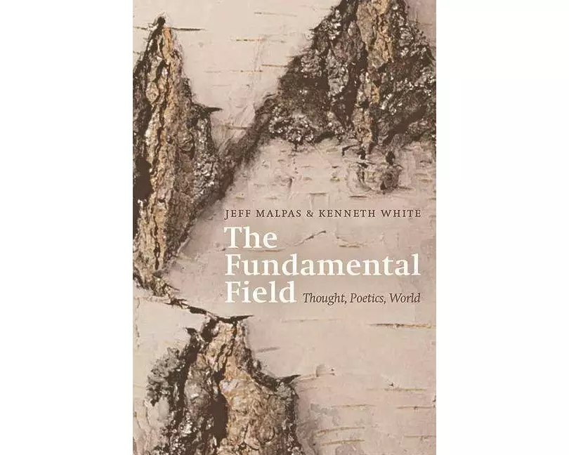 The Fundamental Field
