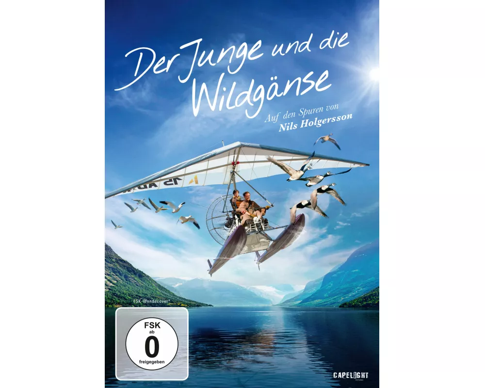 Der Junge und die Wildgänse