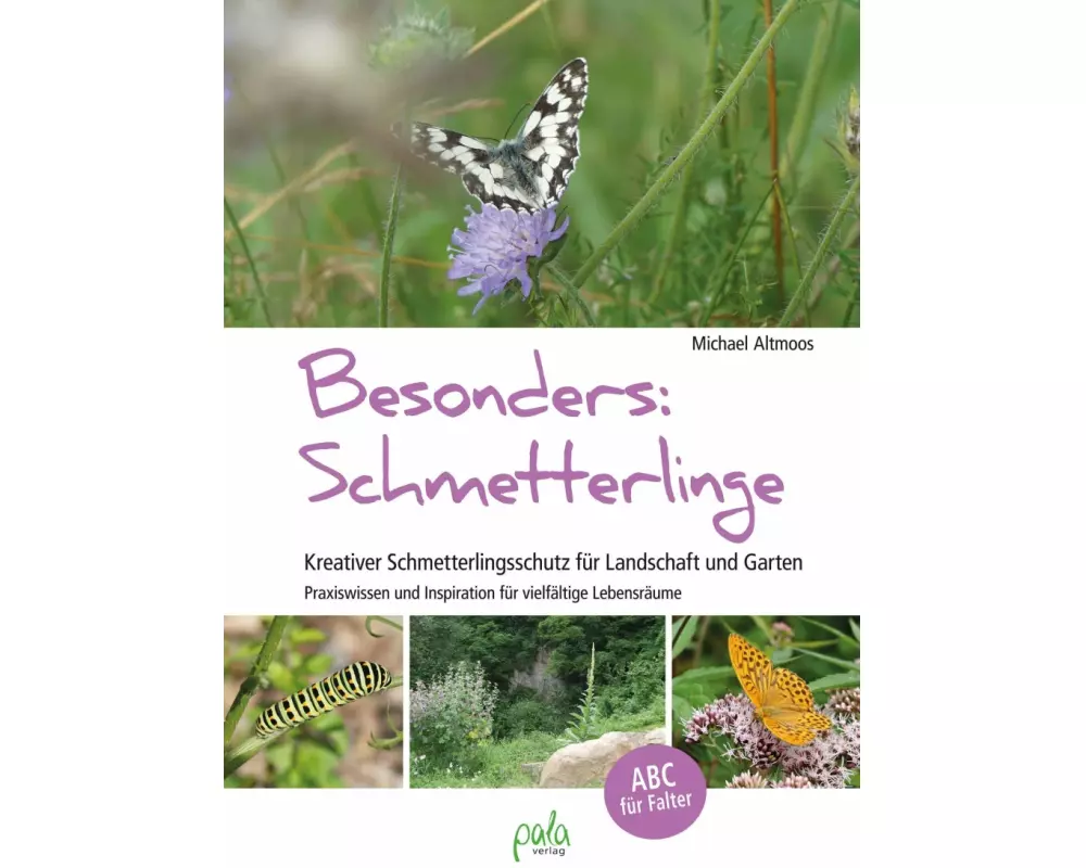 Besonders: Schmetterlinge