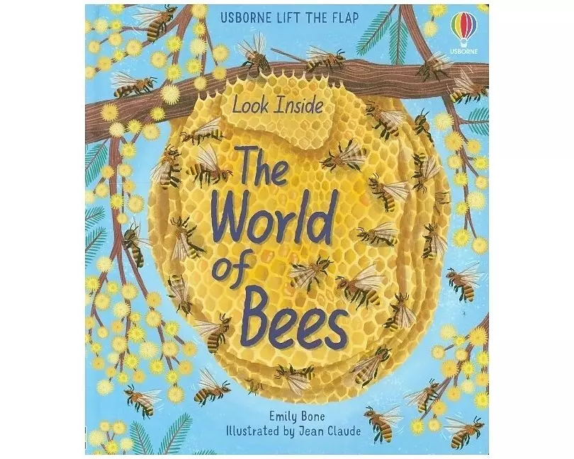 Look Inside the World of Bees