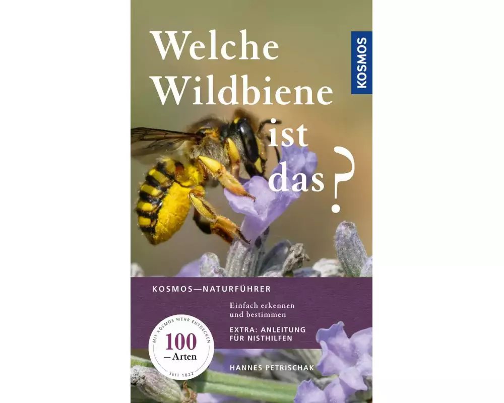 Welche Wildbiene ist das?
