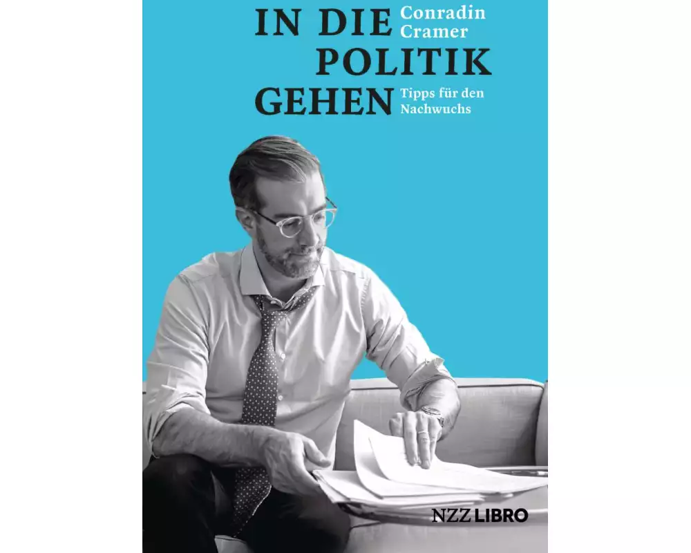 In die Politik gehen