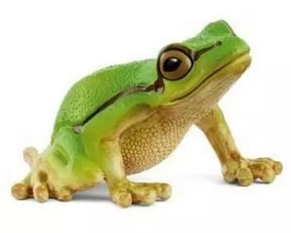 Schleich Spielzeugfigur Wild Life Europäischer Laubfrosch