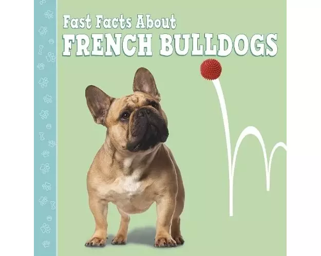 Fast Facts About French Bulldogs