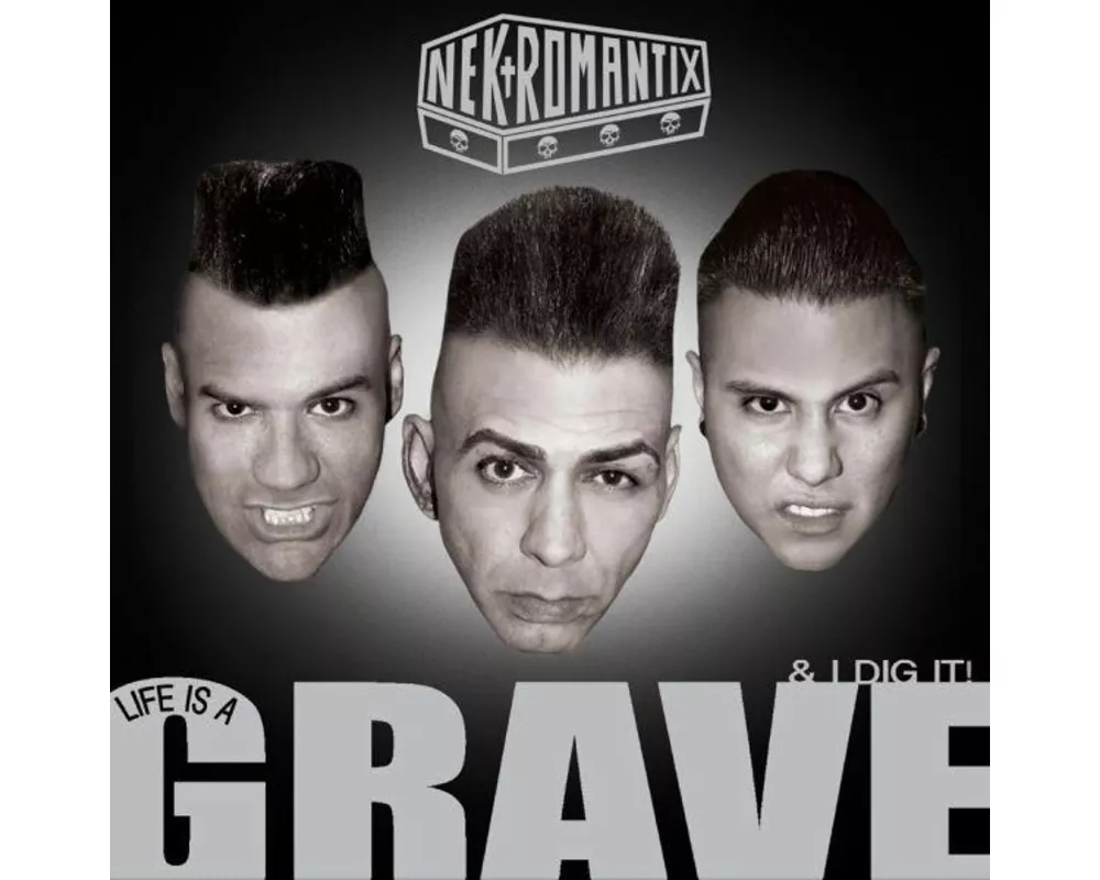 Life Is A Grave And I Dig It