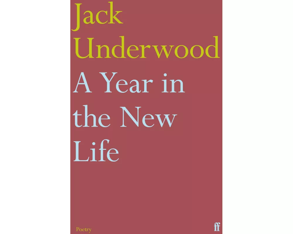 A Year in the New Life