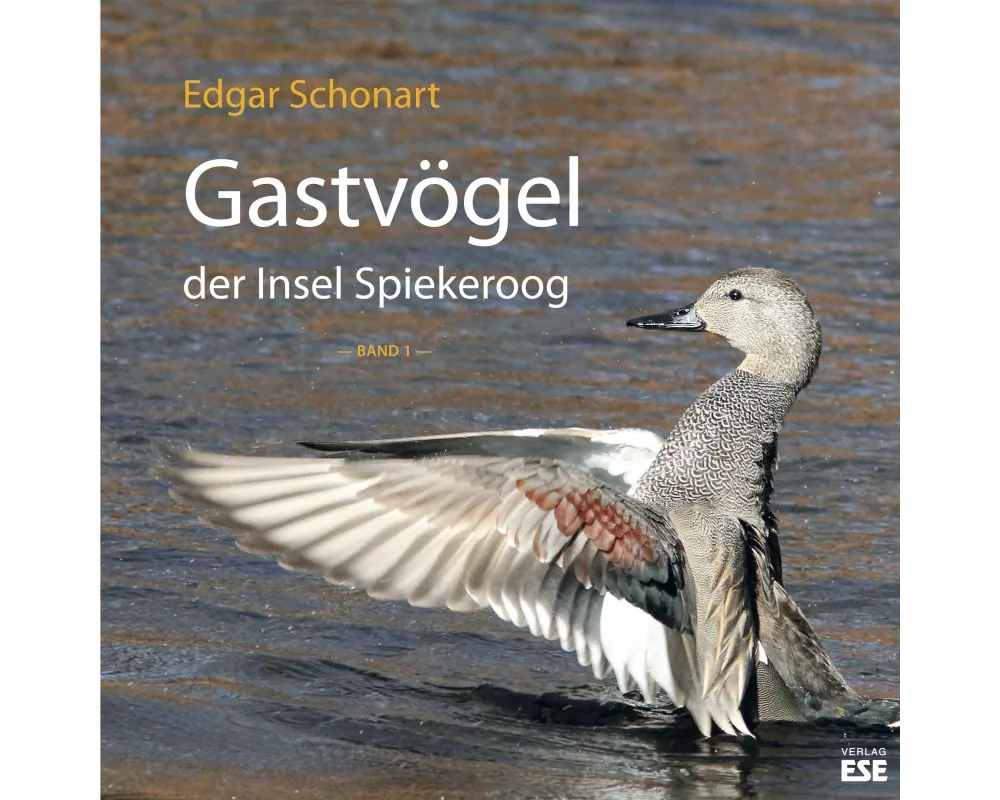 Gastvögel der Insel Spiekeroog 01