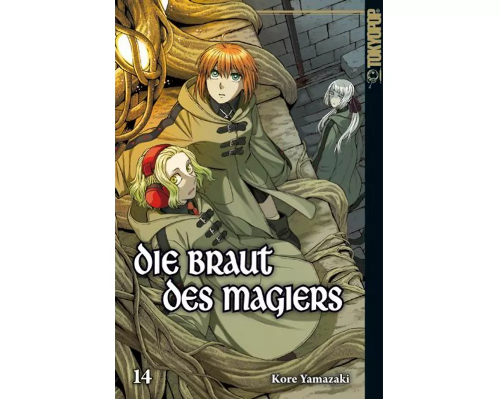 Die Braut des Magiers 14