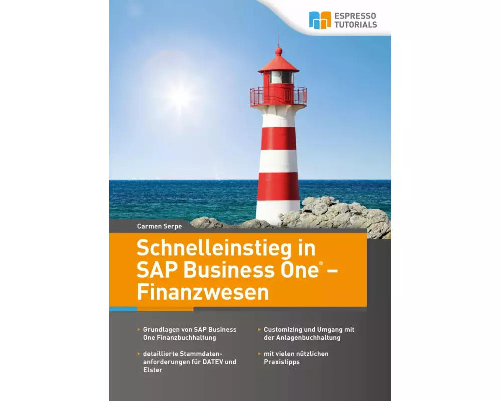 Schnelleinstieg in SAP Business One - Finanzwesen