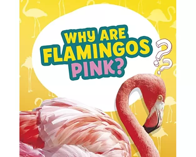 Why Are Flamingos Pink?