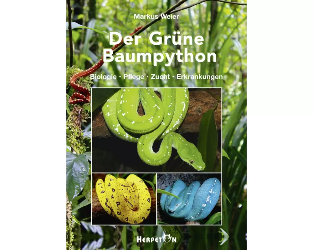Der Grüne Baumpython