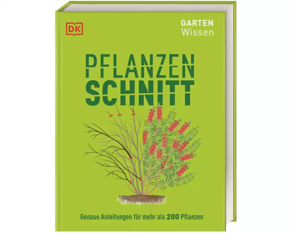 Gartenwissen Pflanzenschnitt