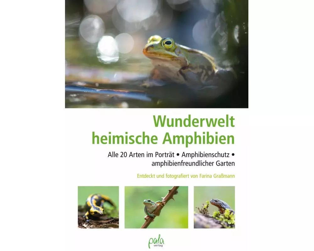 Wunderwelt heimische Amphibien