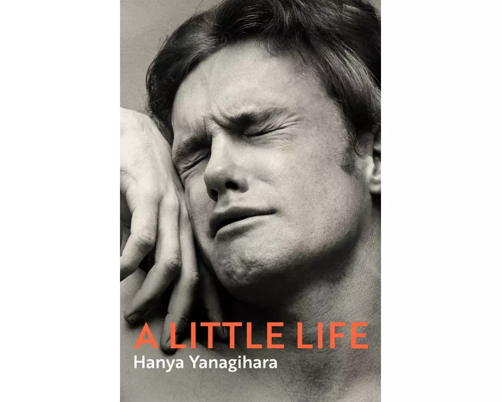 A Little Life