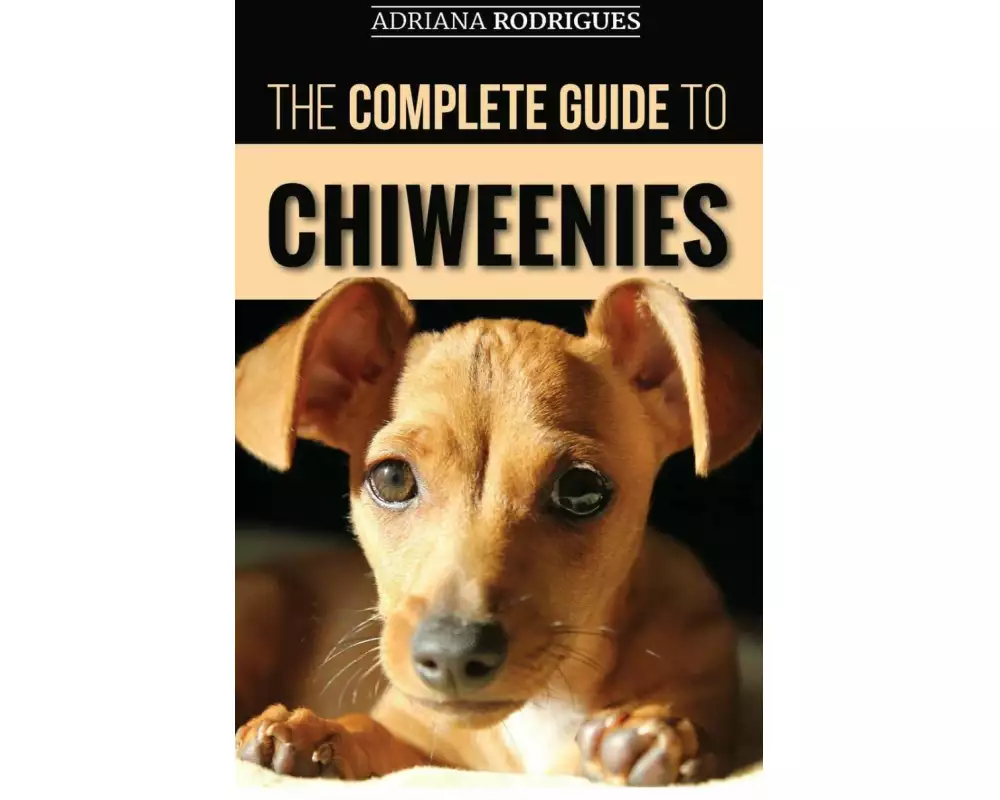 The Complete Guide to Chiweenies