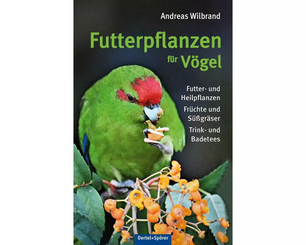 Futterpflanzen für Vögel
