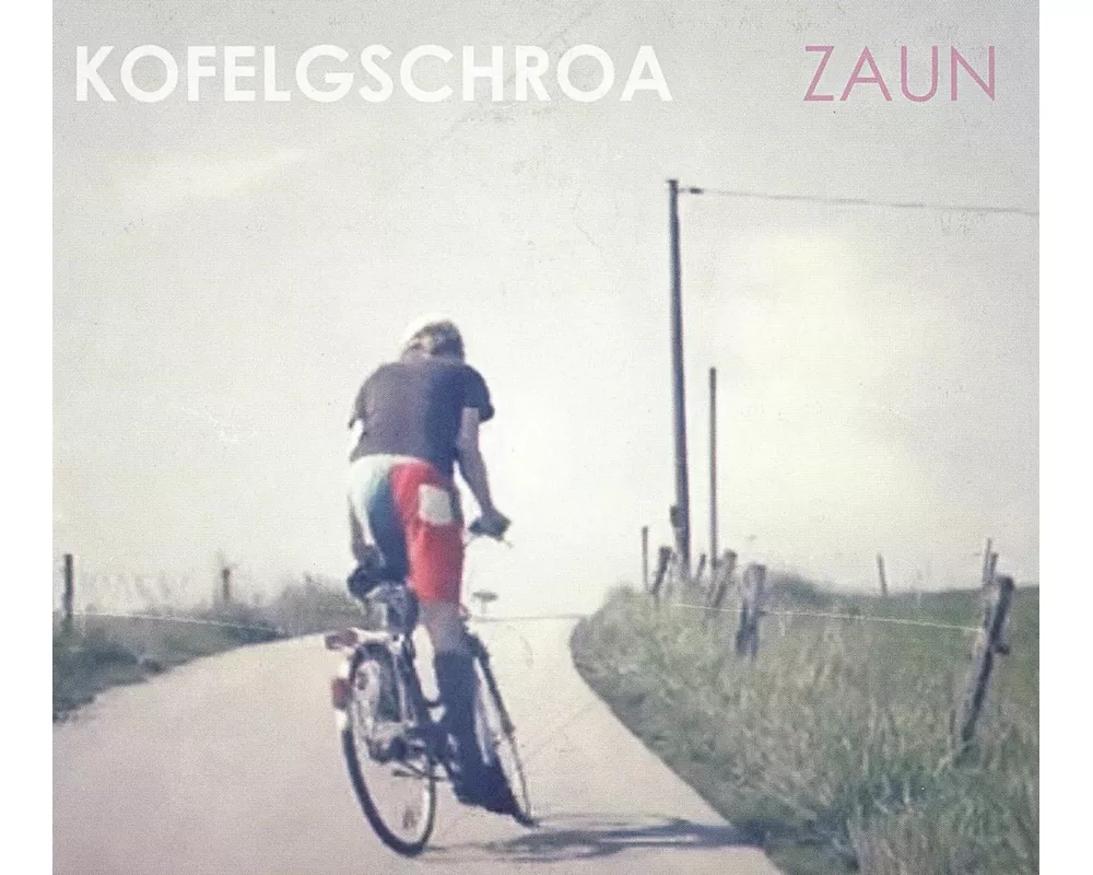 Zaun