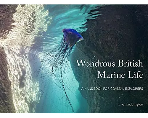 Wondrous British Marine Life