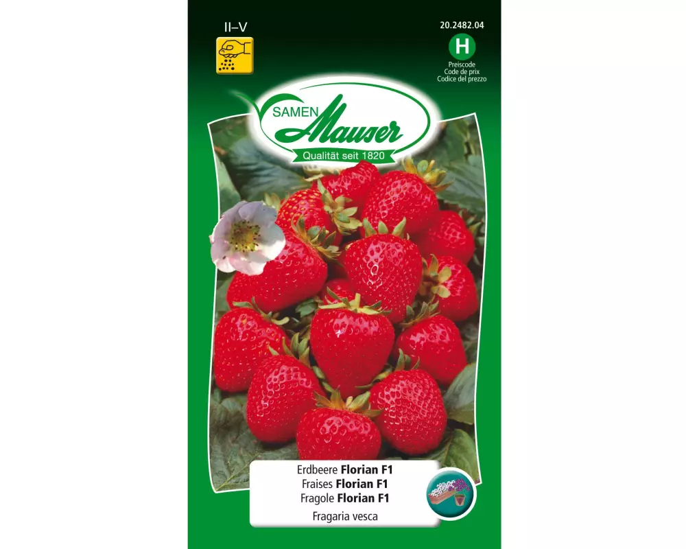 Samen Mauser Samen Erdbeere Florian F1