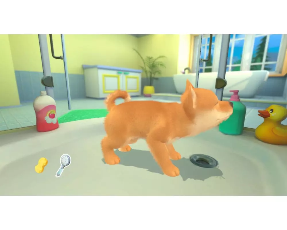 CentreSoft My Universe: Hunde und Katzenbabys (Code in a Box)