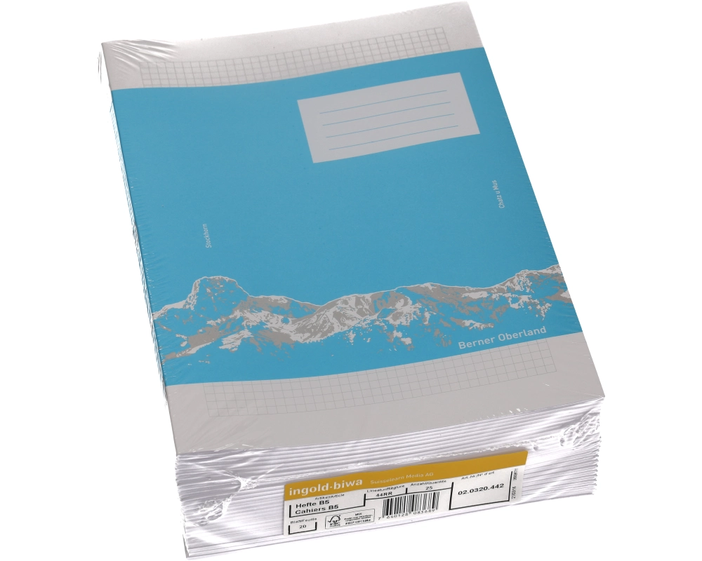 INGOLD-BIWA Schulheft B5 02.0320.442 kariert 4mm, mit Rand weiss