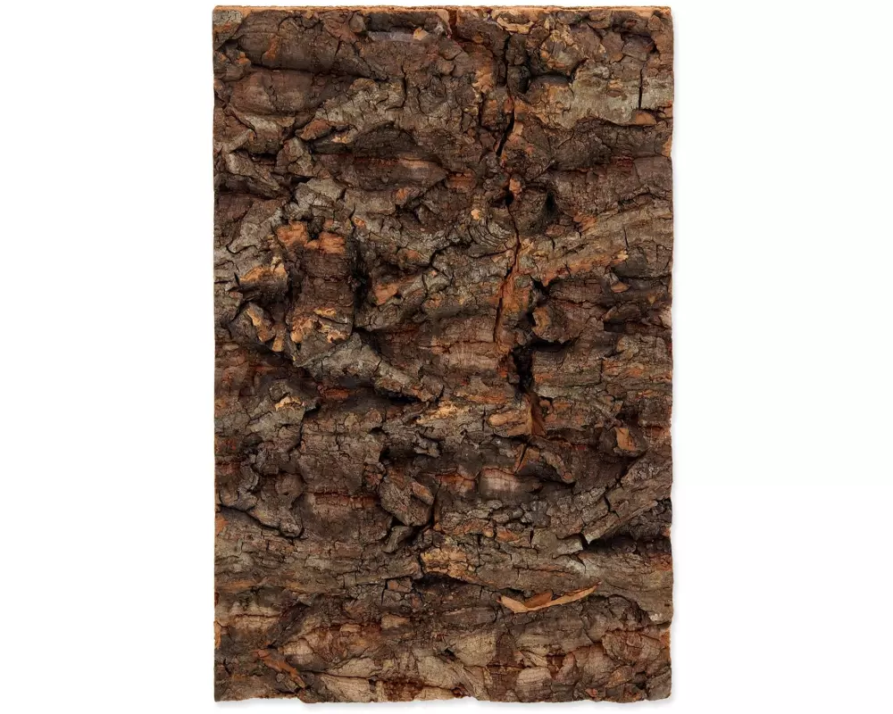 Repti Planet Kork-Rück Wand 19 x 12.3 x 2 cm