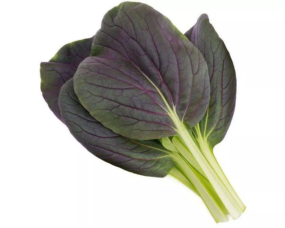 Click and Grow Samen Roter Pak Choi