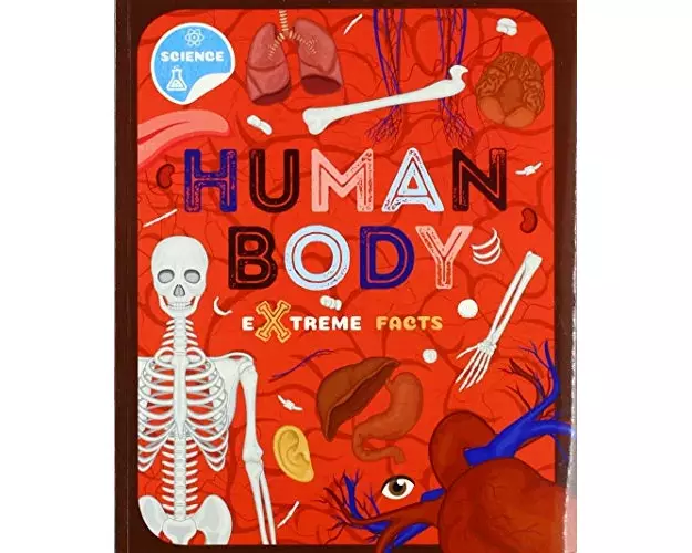 Human Body
