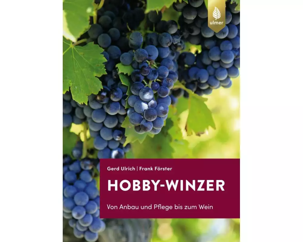 Hobby-Winzer