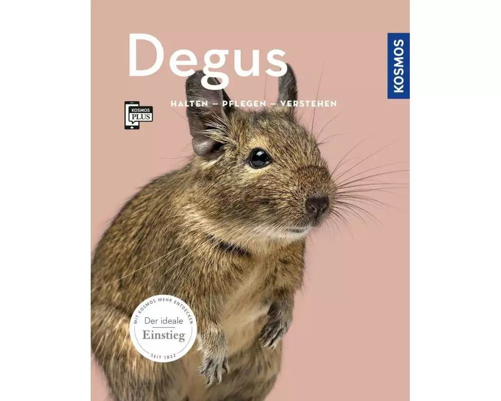Degus