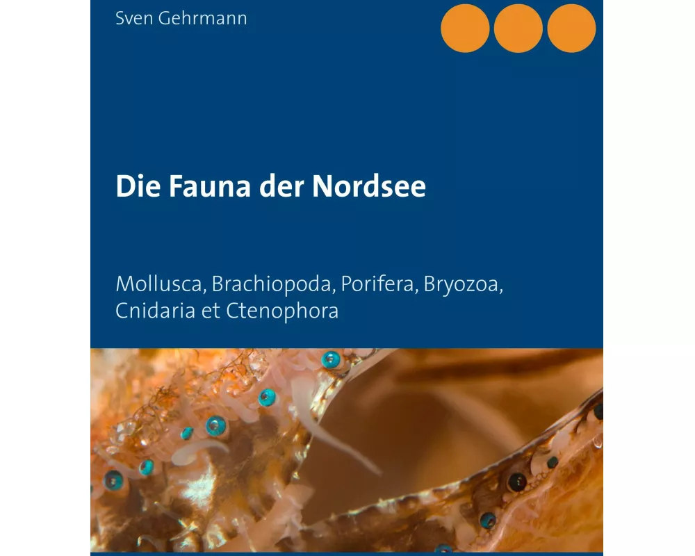 Die Fauna der Nordsee