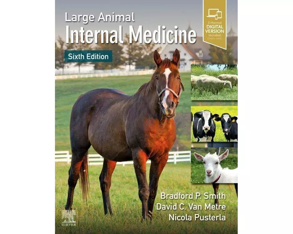 Large Animal Internal Medicine