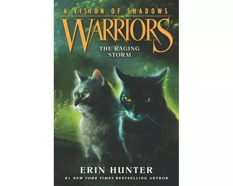 Warriors: A Vision of Shadows #6: The Raging Storm