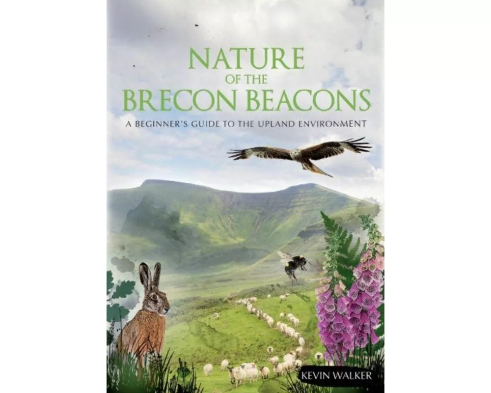 Nature of the Brecon Beacons