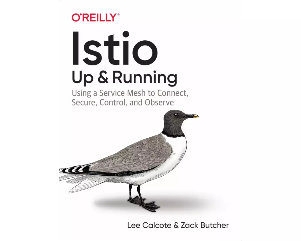 Istio: Up and Running