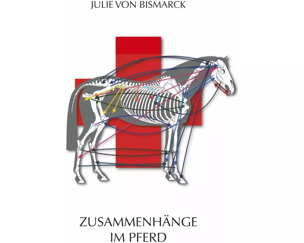 Zusammenhänge im Pferd