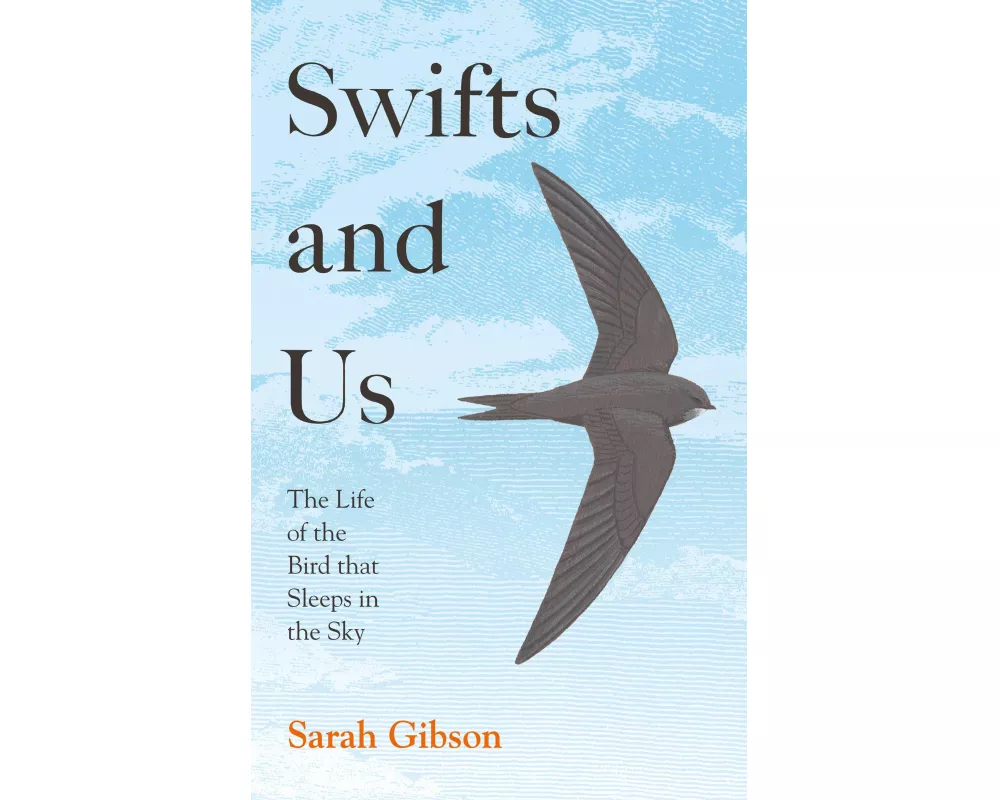 Swifts and Us