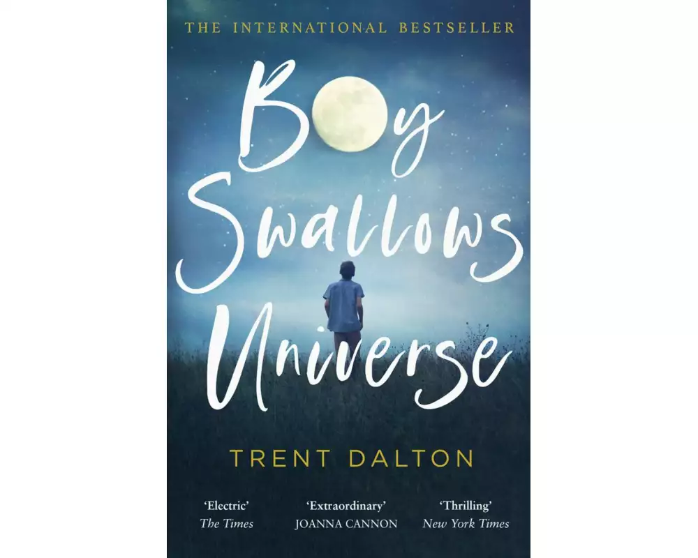 Boy Swallows Universe
