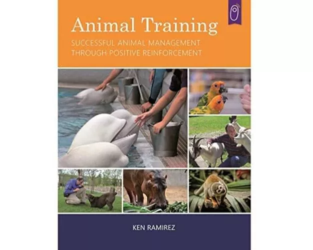 Animal Training