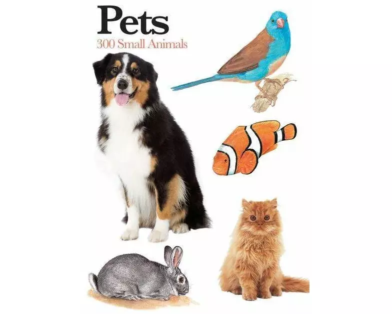 Pets
