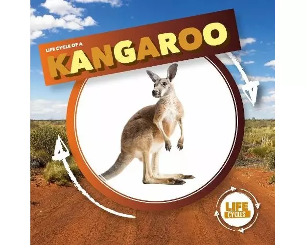 Kangaroo
