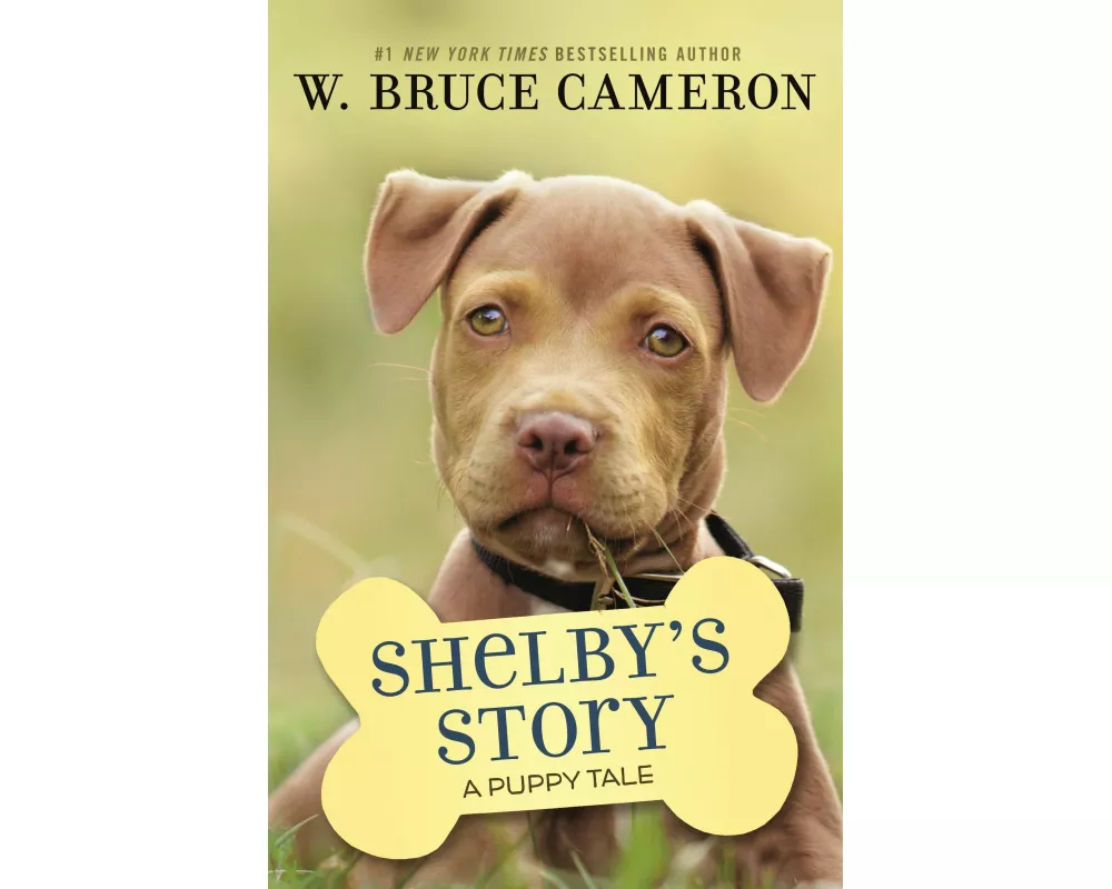 A Shelby's Story