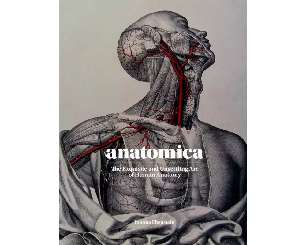 Anatomica